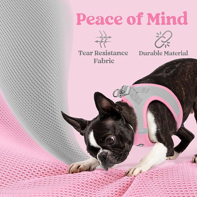rabbitgoo Small Dog Harness, Step-in Soft Mesh Puppy Vest with Safety Buckle, Breathable Reflective Pet Harness for Small Sized Dogs, Pink & Gray XS