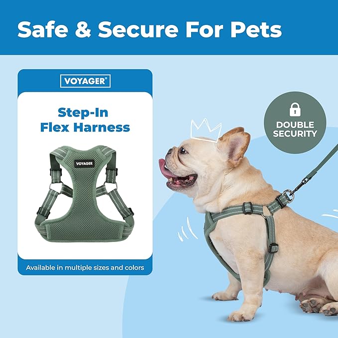 Best Pet Supplies Voyager Adjustable Step-in Flex Breathable Mesh Dog Harness for Small Medium Large Dogs Moss Green, S