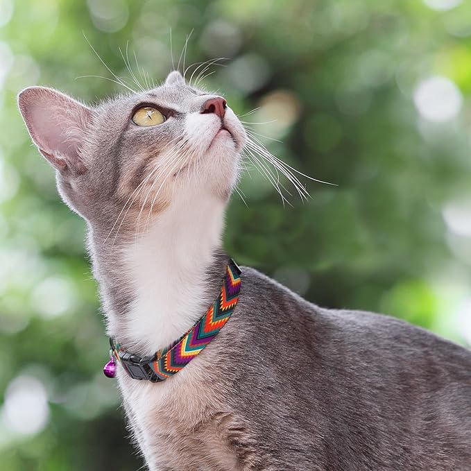 Cat Collars 2 Pack - Soft Cute Breakaway Collar with Bell, Adjustable Safety Kitten Collars for Girl & Boy Cats – Comfortable Stylish Patterned Print Lightweight (Floral + Arrows)