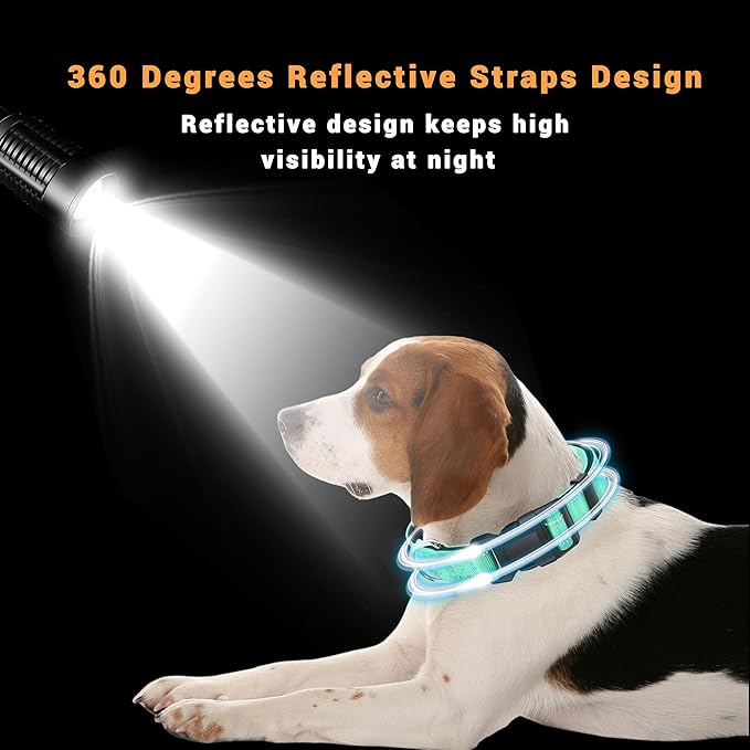 2 Pack Reflective Dog Collar with Safety Locking Buckle, Adjustable Soft Breathable Comfortable Nylon Pet Collar for Small, Medium and Large Dogs, Turquoise, L