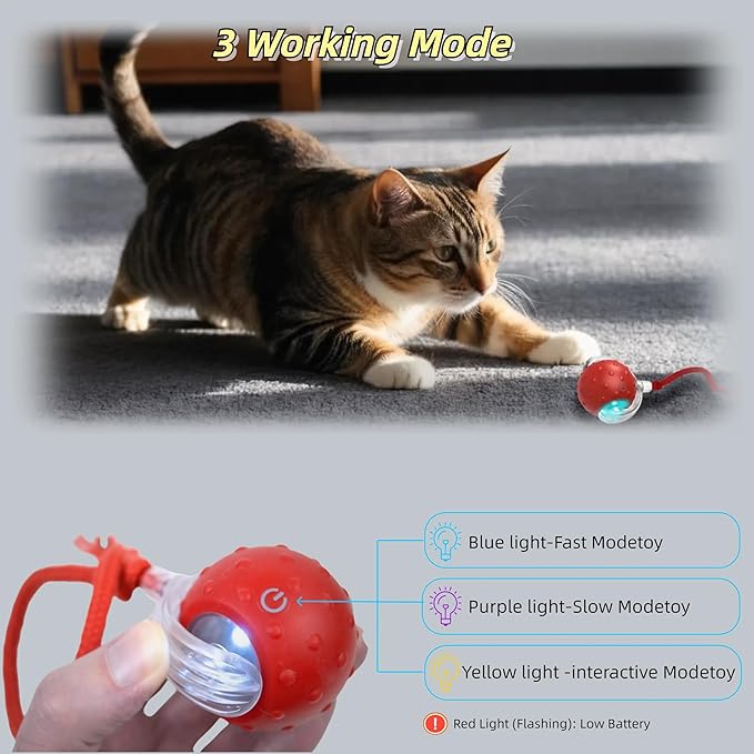 Interactive Cat Toy Ball – Automatic Electric Rolling Ball with Chirping Bird Sounds, Motion-Activated Indoor Toy for Kittens and Cats, Fun Exercise Play (Red)