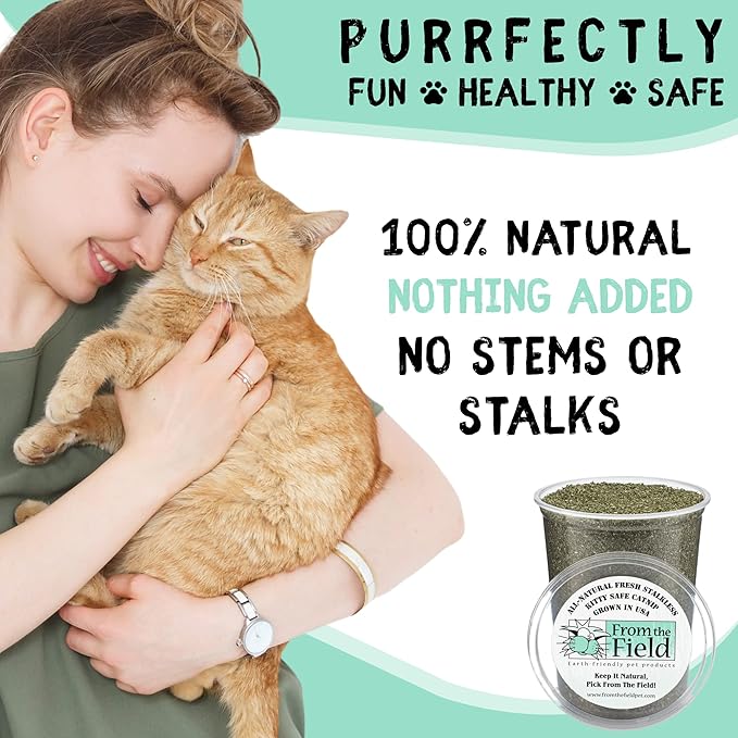 from The Field | Fine Ground Stalkless Catnip | Premium USA-Grown Catnip for Toys & Playtime | Fresh, Potent, Non-Toxic, Eco-Friendly | Safe for Kittens & Cats | Resealable 10 Oz Bag