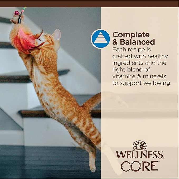 Wellness CORE Tiny Tasters Minced Adult Wet Cat Food, Natural, Protein-Rich, Grain Free, 1.75-Ounce Pouch, 12 Pack, (Tuna & Shrimp)