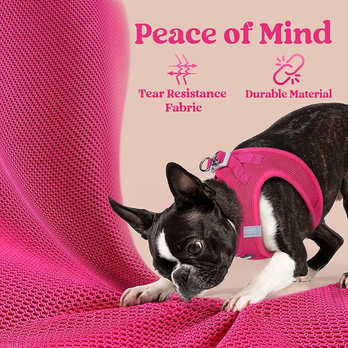 rabbitgoo Small Dog Harness, Step-in Soft Mesh Puppy Vest with Safety Buckle, Breathable Reflective Pet Harness for Extra Small Dogs, Rose Red XXXS