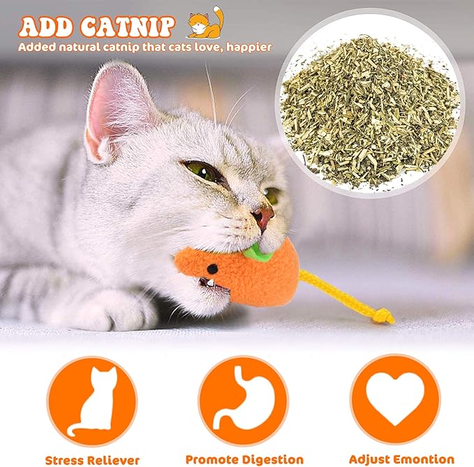 Catnip Toy - 6Pcs Cats Mouse Plush Cat Toys Realistic Cute Kitten Mice Filled Catnip for Cat Chew Toy1
