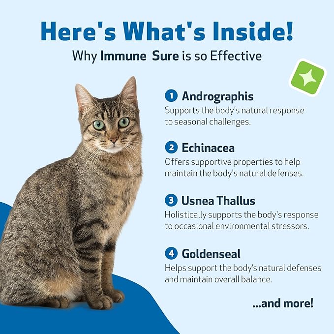 Pet Wellbeing Immune Sure for Cats - Supports Normal Immune Defenses, Gut Flora Balance, Andrographis, Echinacea, Vitamin C, Zinc - Veterinarian-Formulated Herbal Supplement 4 oz (118 ml)