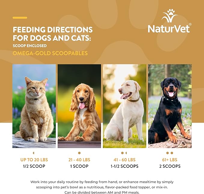 NaturVet Scoopables Omega-Gold Anchovy Oil & Salmon Supplement For Dogs and Cats - Supports Healthy Skin & Coat Plus DHA, EPA, Omega-3, & Omega-6 - Anchovy & Salmon Flavored For Dog and Cat | 11oz Bag