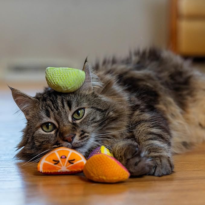Catstages Dental Fruit Wedges 4 Pk, Soft and Textured Catnip Chew Toys That Help Clean Teeth, Multicolored
