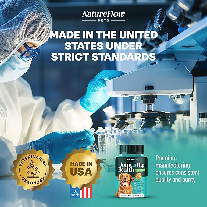 Joint Supplement for Dogs, Power of Nature Made in USA, Unique Formula: Green-Lipped Mussel, Glucosamine, Chrondroitin, MSM, Devils Claw, Hip and Joint Supplement, All Breeds - 100 ct