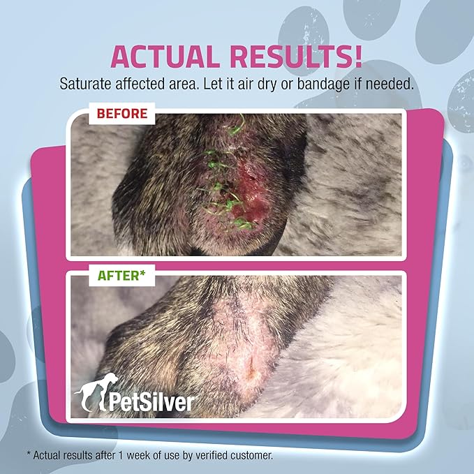 PetSilver Wound & Skin Spray - Dog Wound Spray, Hot Spot, Allergy Relief for Dogs, Itch Spray for Cats - Natural Skin Soother - Chelated Silver, Superior to Colloidal Silver - Made in USA - 16 fl oz