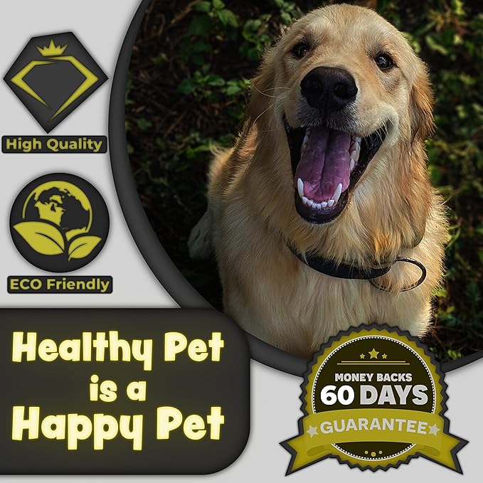 H&H Pets Bamboo Toothbrush Set for Dogs and Cats - Ultra Soft Bristles & Biodegradable Wooden Toothbrush, Puppy Supplies, Dog Dental Set, Eco-Friendly Pet Supplies (Large; 3-Count Pack)