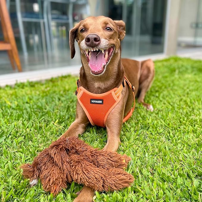Best Pet Supplies Voyager Mesh Dog Breathable Harness Reflective Stitching, All Weather Adjustable for Walking Training, or Running - Heavy Duty & Durable, Harness (Orange), L