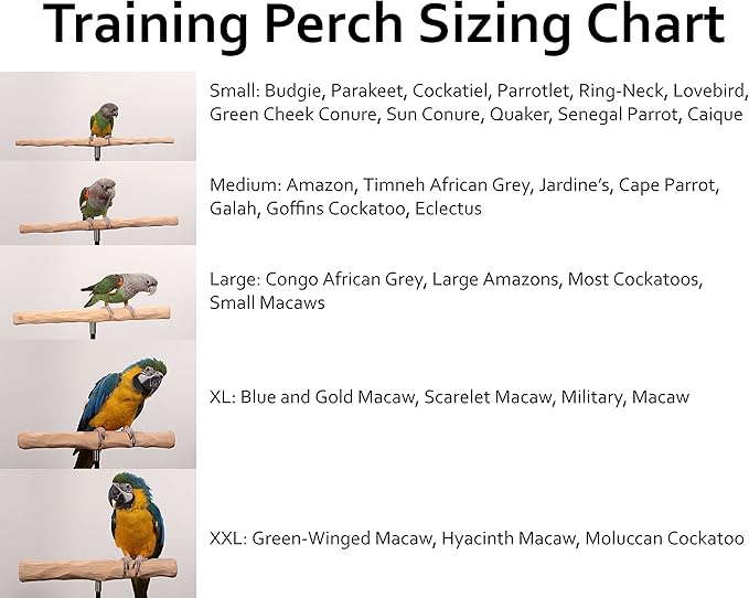 Parrot Training Perch Stand with Potty Tray (T Perch Hardwood, XL)