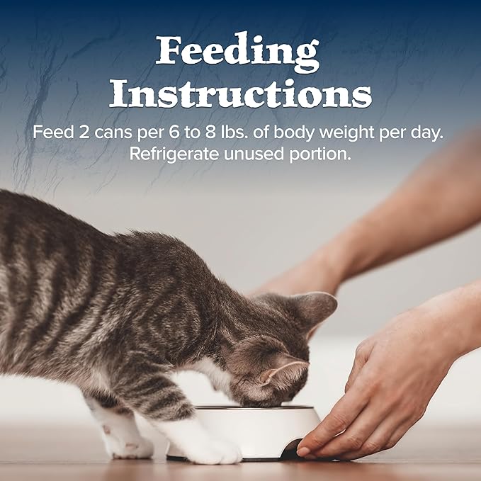 Blue Buffalo Wilderness Natural High-Protein Grain-Free Wet Food for Adult Cats, Salmon Paté, 5.5-oz. Cans, 24 Count
