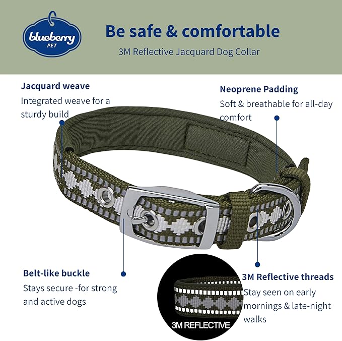 Blueberry Pet Reflective Jacquard Dog Collar with Neoprene Padding & Metal Buckle | Soft & Adjustable Safety Collar - Olive, Neck 17-20.5", for Large Breed