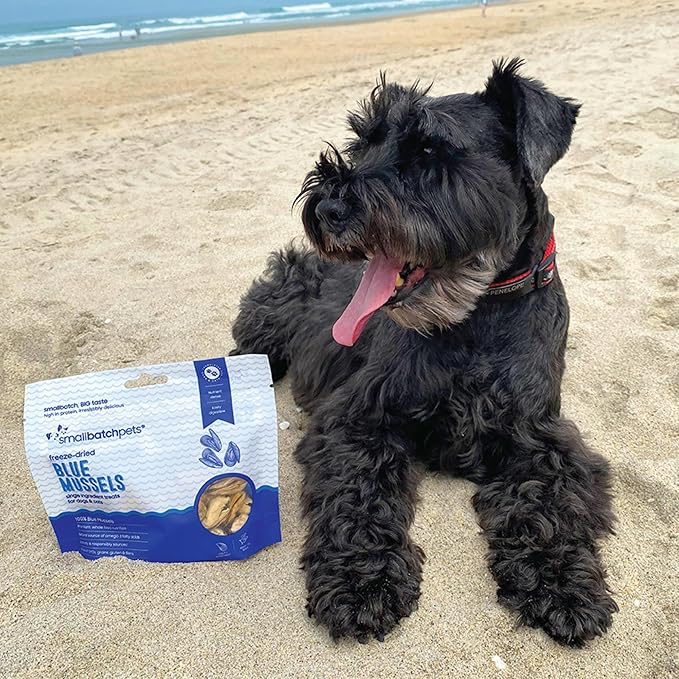 smallbatch Pets Freeze Dried Cat & Dog Treats, 2oz - 100% Blue Mussels, Organic High Protein Treats, Omega 3 Fatty Acids, Gluten Free, Grain Free, Made in The USA, Ethically Sourced, Single Protein