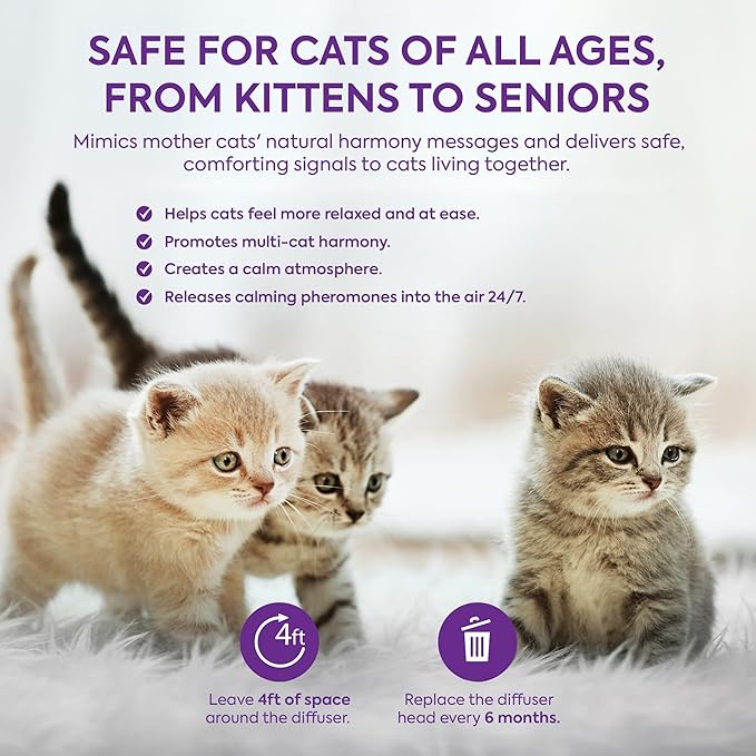 Cat Pheromones Calming Diffuser: Premium Pheromone Diffuser for Cats - Cat Pheromones Diffuser - Cat Calming Diffuser - Cat Calming Pheromone Diffuser, 2 Pack (Purple)