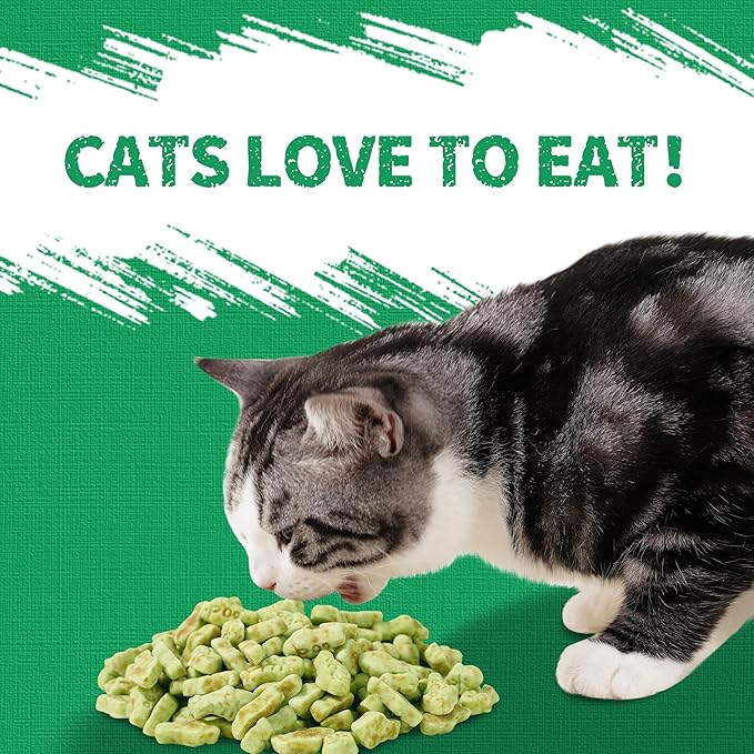 Just Try 13.4 OZ Crunchy Cat Treats Catnip Treats for Cats with Digestive Support, Natural Ingredients Kitten Treats with Real Salmon, Healthy Feline Snacks Training Biscuits Dental Care