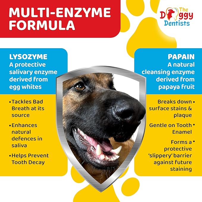 Vet Strength Pure Enzymatic Dog & Cat Toothpaste | 3.5oz Beef Flavor | Enzyme Pet Toothpaste for Tartar Removal, Bad Breath, Teeth Cleaning | Suitable for Puppies & Kittens