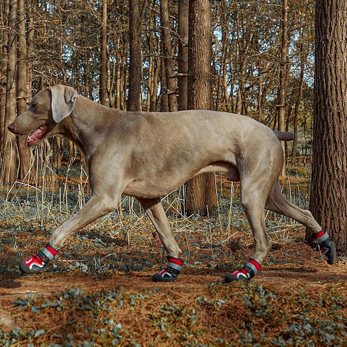 Dog Shoes, Waterproof Dog Boots & Paw Protectors with Anti-Slip Sole, 4pcs/Set Pet Dog Booties, Reflective Dog Shoes for Small Medium Large, Winter Snowy Summer Hot Pavement (Red, 5# (M))