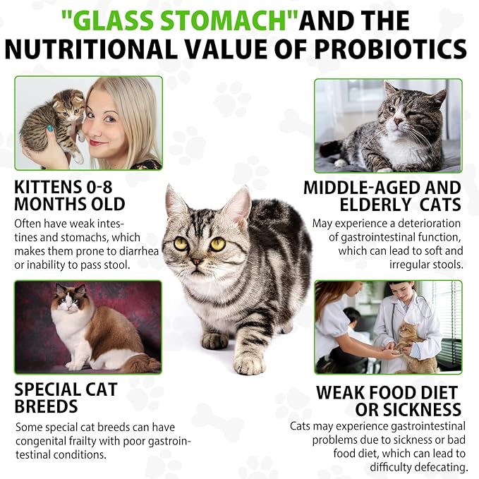 Cat Constipation Relief, Cat Laxative, Constipation Relief for Cat, Cat Laxative Constipation Relief, Constipation Relief for Cats, Cat Laxative Constipation Relief