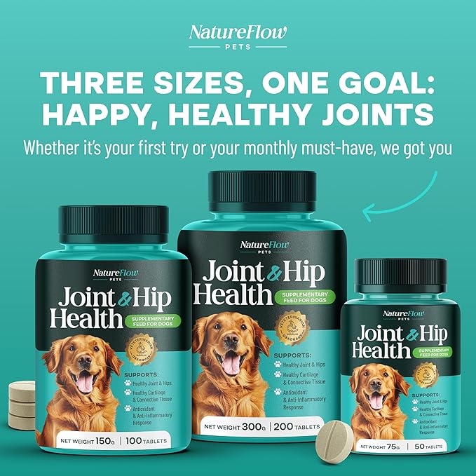 Joint Supplement for Dogs, Power of Nature Made in USA, Unique Formula: Green-Lipped Mussel, Glucosamine, Chrondroitin, MSM, Devils Claw, Hip and Joint Supplement, All Breeds - 200 ct