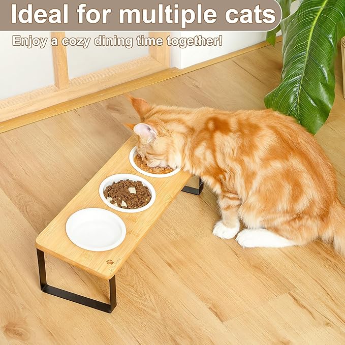 Sunhoo Elevated Cat Bowls for Indoor Cats Raised Tilted Food Water Kitty Dish Stand with 6 Ceramic Bowl Set Orthopedic Wooden Pet Feeder Feeding Sation Reduces Vomiting 4.7in Easy Assembly(Yellow)