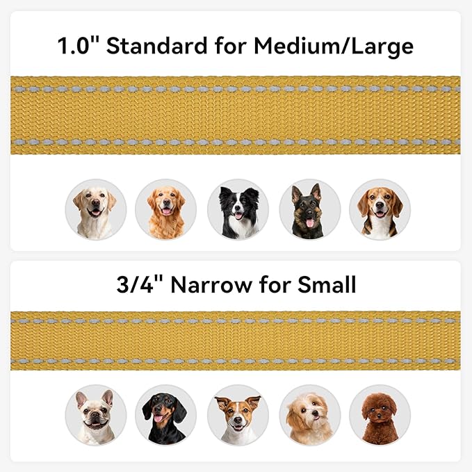 Joytale Dog Leash, 5 FT Double-Sided Reflective, Padded Handle Nylon Heavy Duty Leashes for Small Dogs Walking, Khaki