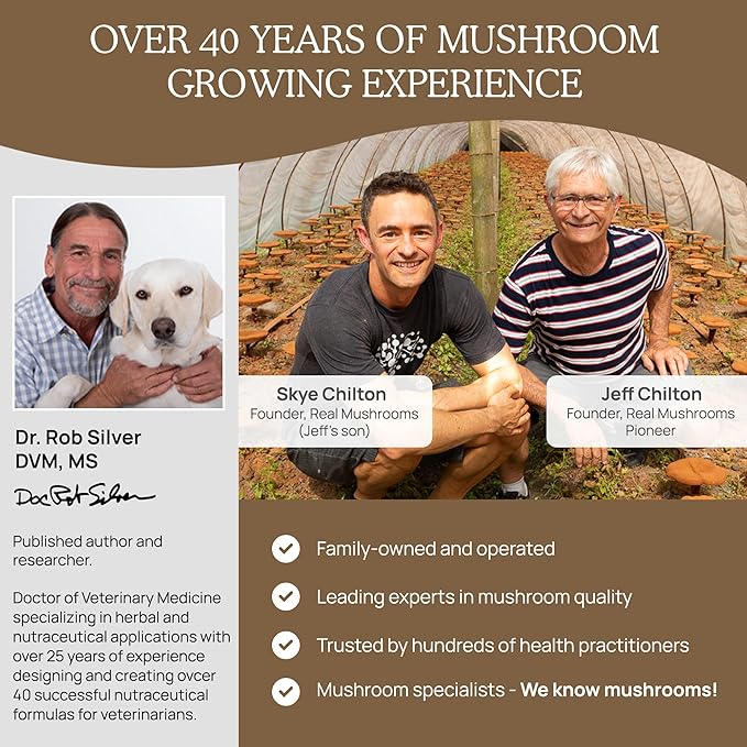 Real Mushrooms Lion’s Mane Pet Mushroom Supplement – Pet Wellbeing Capsules – for Cat & Dog Supplement & Vitamins – Support Mindful Routines – Organic, Vegan, Non-GMO, 120 Count