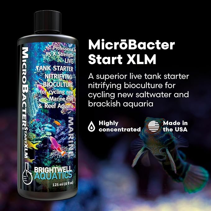 Brightwell Aquatics MicroBacter Start XLM - Concentrated Freshwater Nitrifying Bacteria - Quick Start Fish Tank Starter, Lift Microbe Levels & Water Filtering - Aquarium Water Treatments, 4.22 fl oz