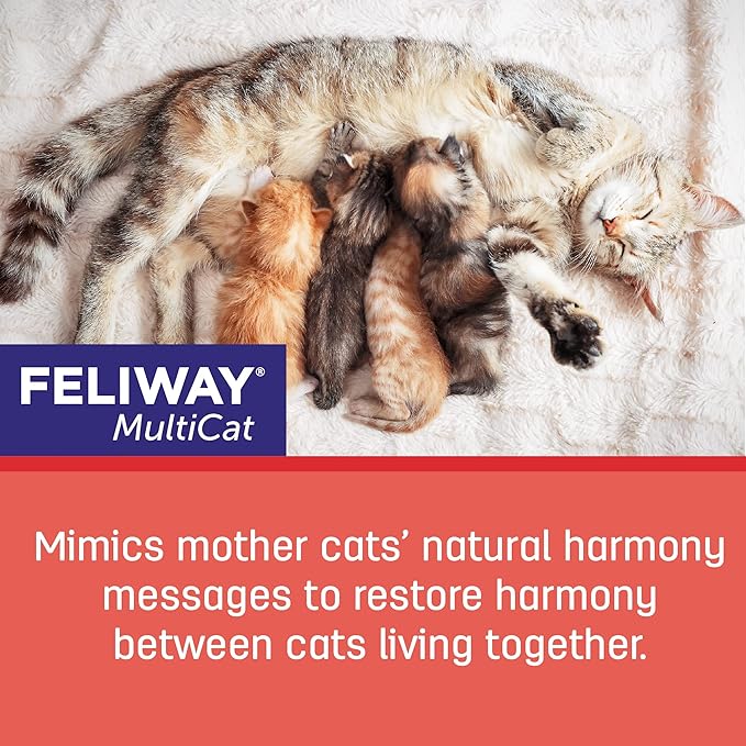 FELIWAY® MultiCat 30 Day Cat Calming Refill for Pheromone Diffuser, 48ml - 1x 30 Day - Helps Reduce Conflicts and Signs of Tension in Multi-Cat Households