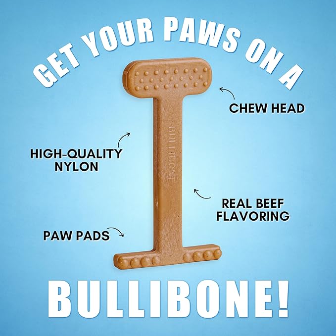Bullibone Nylon Dog Chew Toy for Aggressive Chewers - Dental Hygiene Bone with Beef Flavor, Durable Tough Chew Toys for Large Dogs, Indestructible Dog Bone - 2 Pack