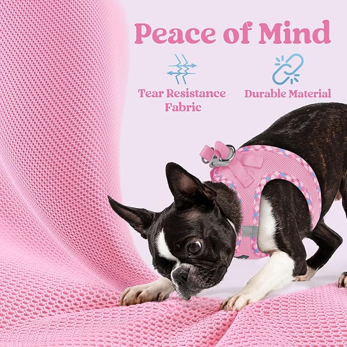 rabbitgoo Small Dog Harness, Step-in Soft Mesh Puppy Vest with Safety Buckle, Breathable Reflective Pet Harness for Small Sized Dogs, Pink & Plaid Trim XS
