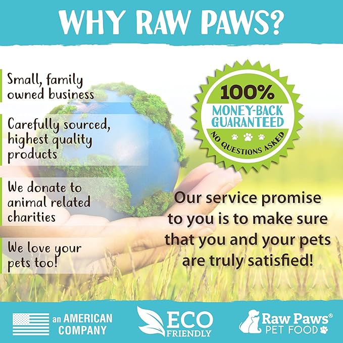 Raw Paws Silvervine Powder, 75 Grams - 2X More Attractive than Catnip for Cats, 100% Silver Vine Gall Fruit Powder, Matatabi Silvervine Cat Toy for Indoor Cats, Catnip Kitten Toys, Silvervine for Cats