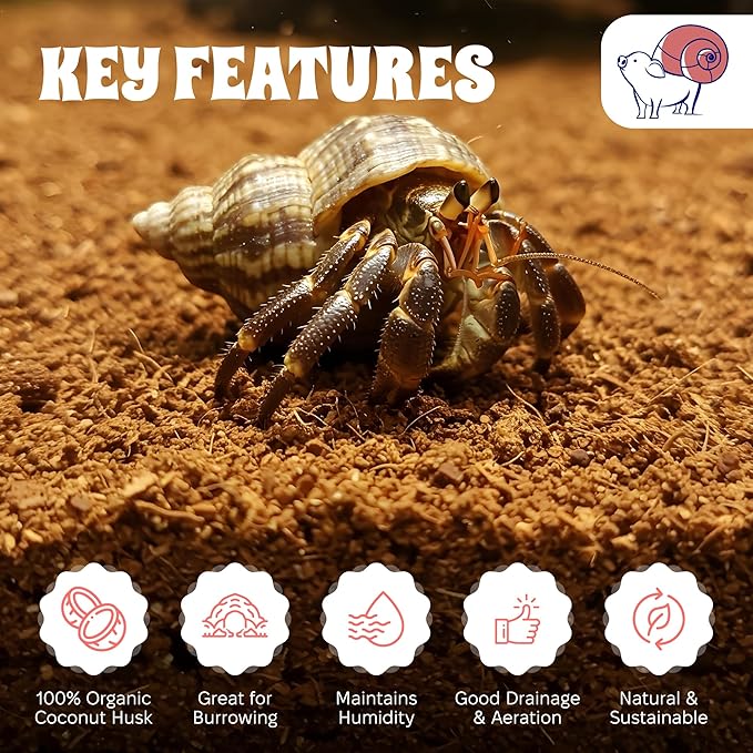 Coco Coir Peat Hermit Crab Substrate Bedding 1.4 lbs - 650 Grams - 3 Pack by Snout and Shell