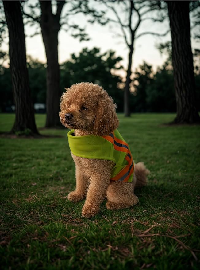 Reflective Dog Vest: Hi-Visibility Safety Gear for Outdoors. Safeguard Your Dog with Easy to wear Adjustable Reflective Vest (Small)