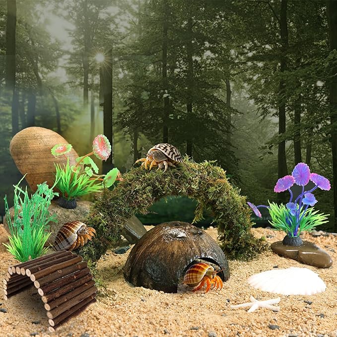 Hermit Crab Accessories, Hermit Crab Climbing Toys Bendable Bridge Coconut Shell Hideout Hut Plants for Crested Gecko Chameleon Reptile Amphibians Supplies