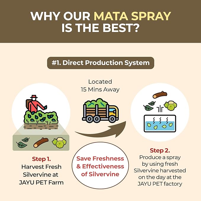 JAYU PET Active MATA Spray – 100% Natural Silvervine Spray for Cats, Liquid Catnip Alternative, Calming Spray for Indoor Kittens, Boosts Play & Engagement, Reduces Stress (1 fl oz)