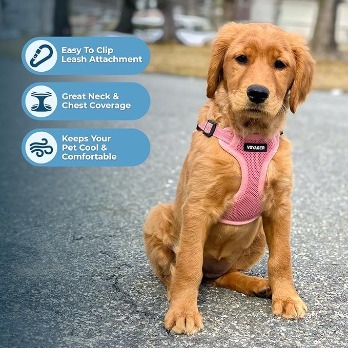 Best Pet Supplies Voyager Adjustable Step-in Flex Breathable Mesh Dog Harness for Small Medium Large Dogs Leash Set (Pink), XL