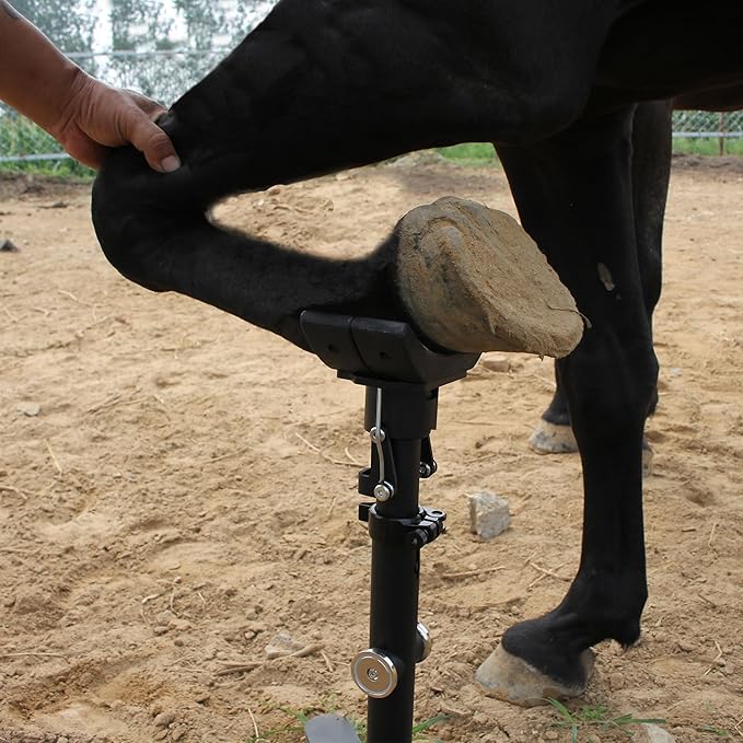 Horse Hoof Stand, 2-in-1 Farrier Hoof Stand with Adjustable Height, Interchangeable Cradle & Post Support for Front & Hind Legs, Metal Body Construction Hoofjack