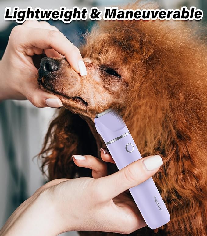 Casfuy Cordless Dog Paw Trimmer - Low Noise Small Dog Clippers with Double Blades USB Rechargeable Grooming Clipper for Dogs Cats and Small Pets for Trimming Hair Around Paws, Eyes, Ears, Face, Rump