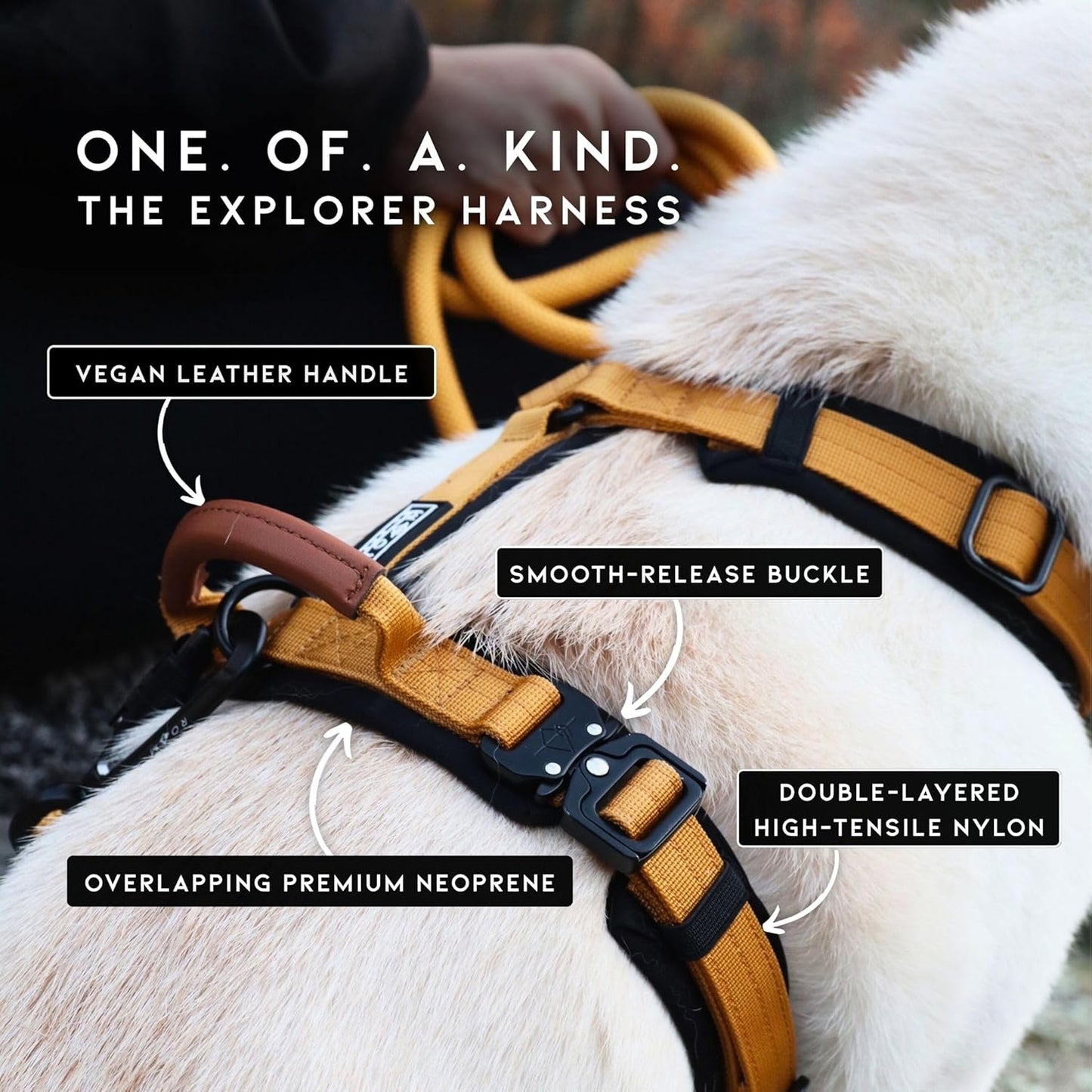 MADE TO ROAM Premium Explorer Harness - Y-Shaped Dog Harness with Adjustable Durable Nylon, Soft Padding, Metal Buckles and Leather Handle for Small, Medium, Large Dogs (Utah Glow, Size 1)