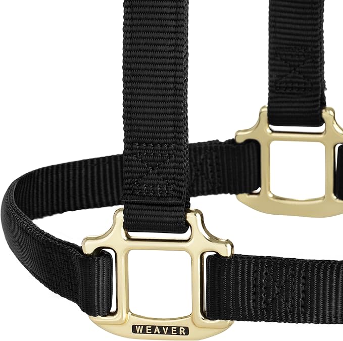Weaver Equine Nylon Horse Halter, Triple-Ply Cheek Design, Original Non Adjustable Halters for Horses, Equine Tack,Average Size, Black