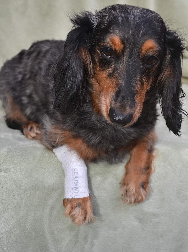 Protective Sleeve Tubular Cover - Bandages - for Dogs Cats and Other Pets First Aid Wound Care Comfortable Non-Adhesive Breathable & Water Resistant 18 Strips (yields 36-54 Covers)-(XX-Small)