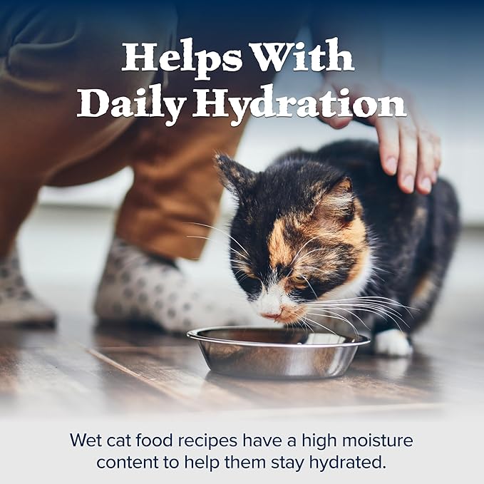Blue Buffalo Wilderness Natural High-Protein Grain-Free Wet Food for Adult Cats, Salmon Paté, 5.5-oz. Cans, 24 Count