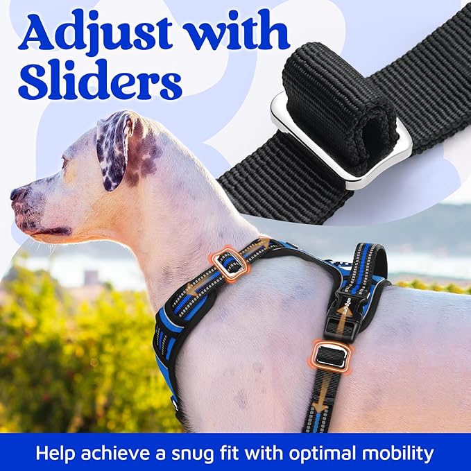 rabbitgoo Dog Harness Small Sized, No Pull Dog Vest with 3 Buckles, Adjustable Soft Padded Pet Harness with Easy Control Handle and Reflective Strips, Royal Blue, S
