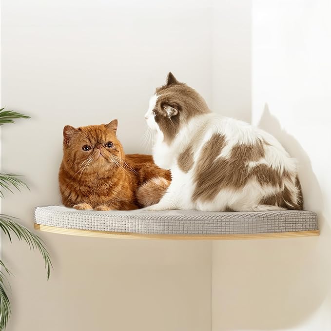 Large 9.84” CALLICO HAVEN- Corner Cat Wall Shelves, Modern Wall-Mounted Cat Furniture, Corner Wall Hammock for Cats, Space-Saving Wall Cat Tree Bed, Sturdy/Hidden Mounts, Washable Cover- Fan Shape