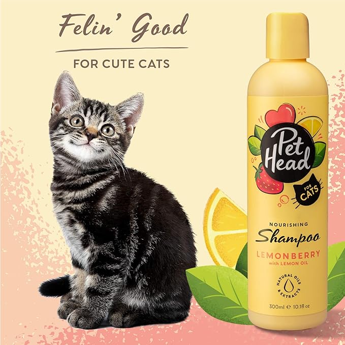Pet Head Felin' Good Cat Shampoo | Fruity Scent | Shampoo for Smelly Cats | Nourishing & Deodorizing | Vegan | Lick-Safe | Gentle Formula for Kittens | Made in USA | 10.1 fl. oz.
