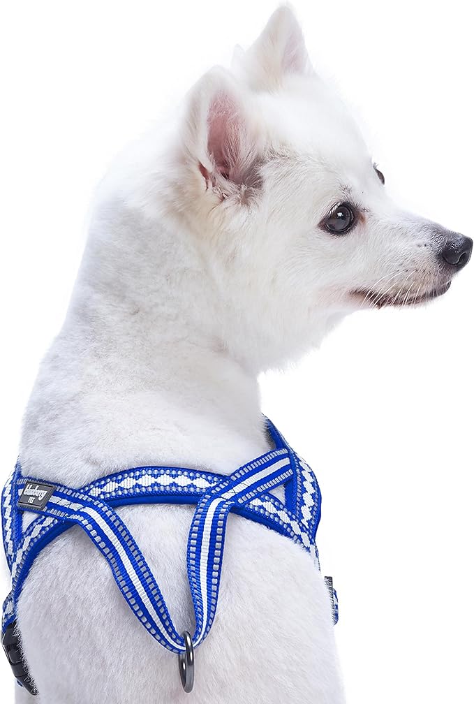 Blueberry Pet 4 Colors Soft & Comfy 3M Reflective Jacquard Padded Dog Harness, Chest Girth 25.5" - 31.5", Palace Blue, M/L, Adjustable Harnesses for Dogs