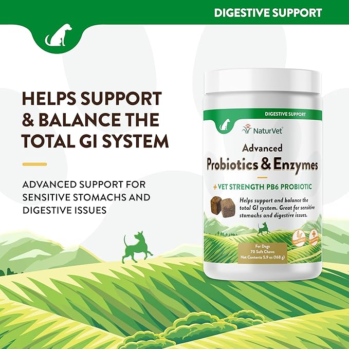 NaturVet Advanced Probiotics & Enzymes, PB6 Dog Soft Chews to Help Sensitive Stomachs and Digestive Issues, Hickory Smoked Bacon Flavored Pet Supplement for Dogs Over 6 Weeks, 70 Count Jar